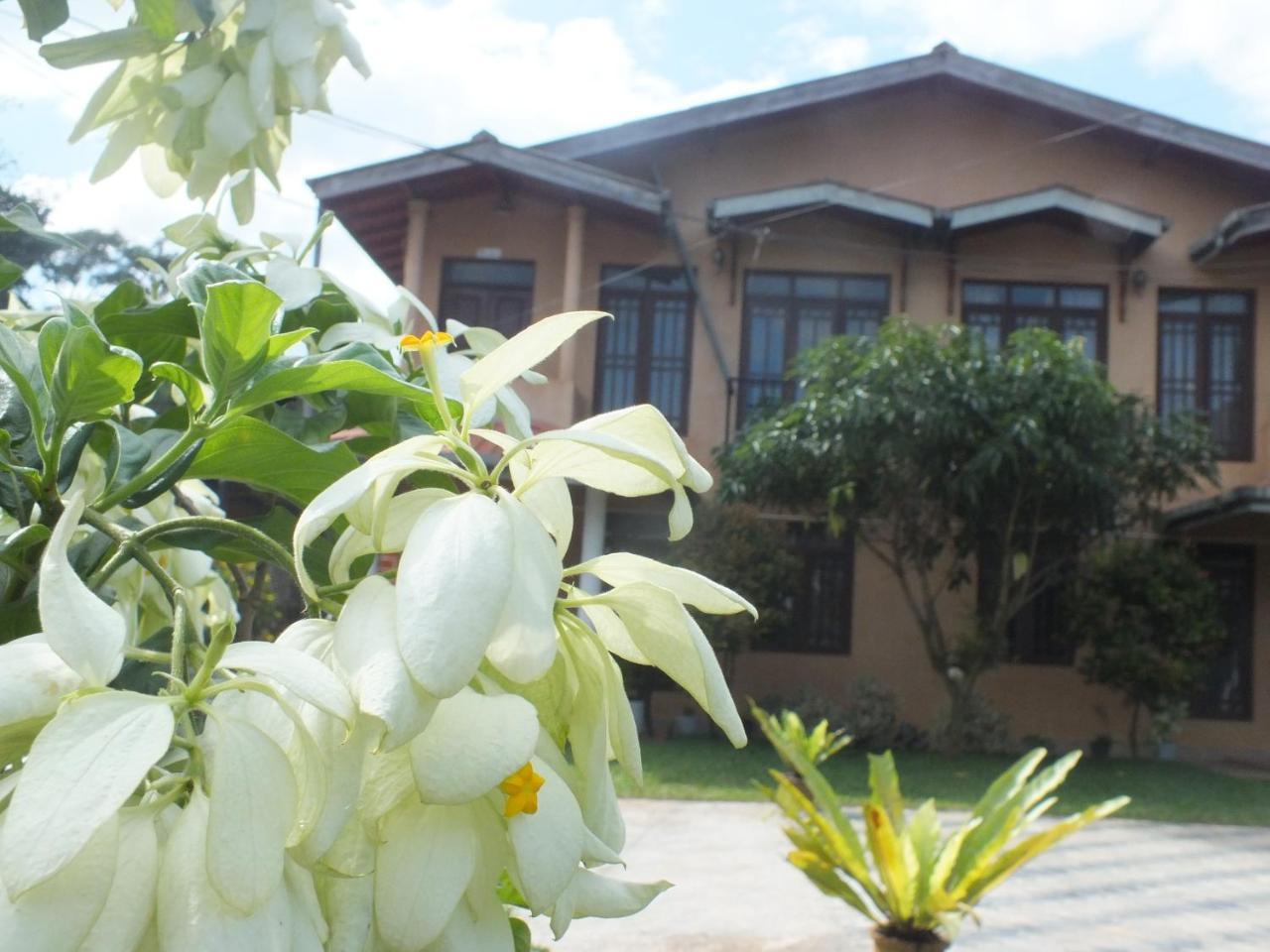 Hillsview Rest & Guest House Matale Exterior foto