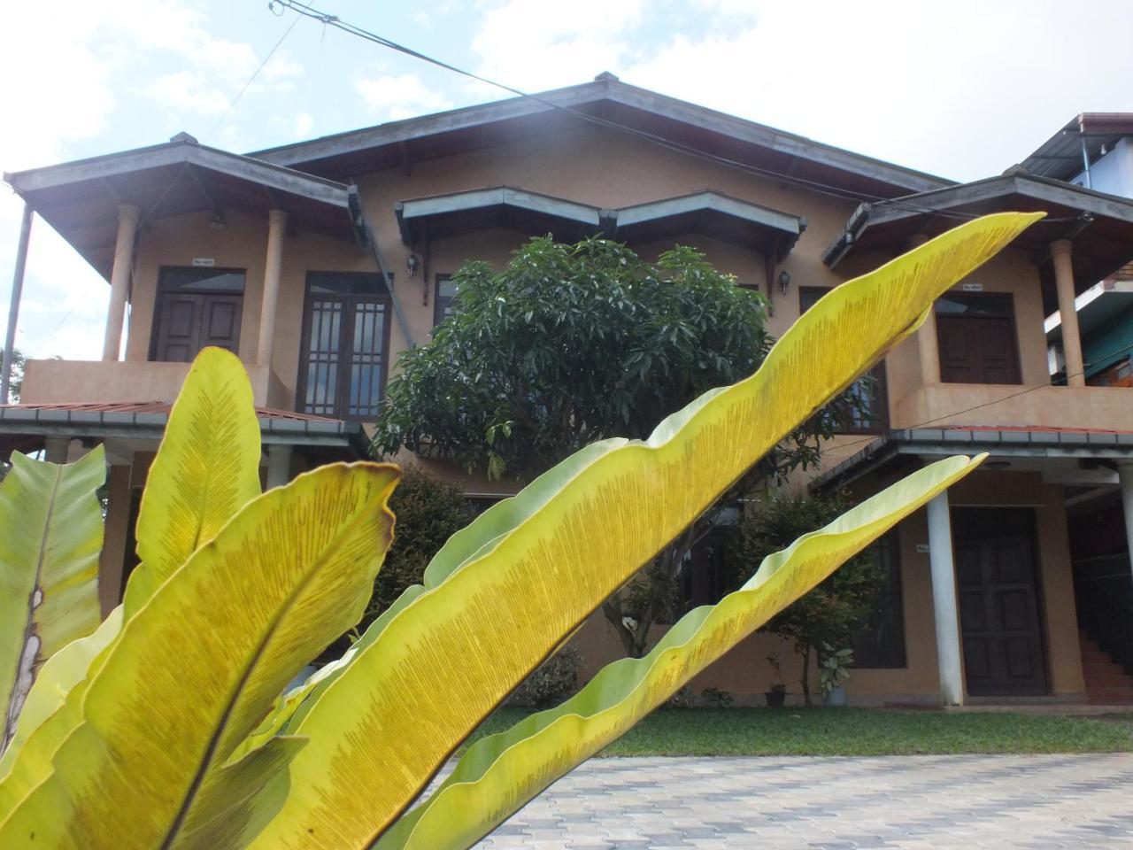 Hillsview Rest & Guest House Matale Exterior foto